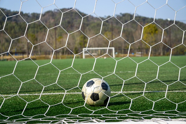 遼寧隊以其 遼寧隊以其