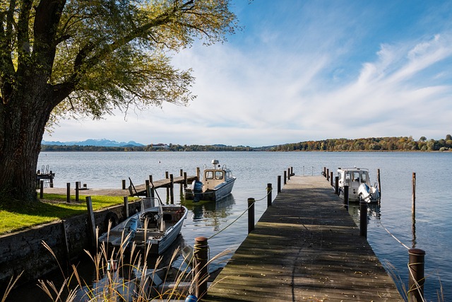 这些胜利让 这些胜利让