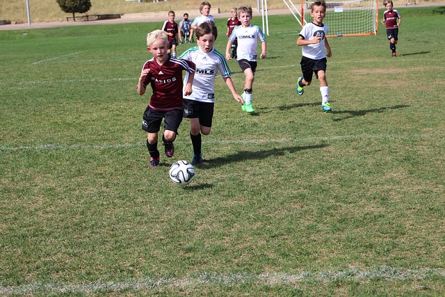 增添节目的 增添节目的