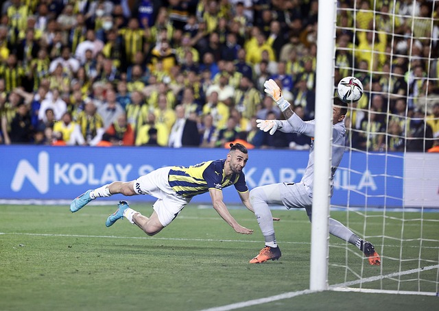 了不少良机 了不少良机