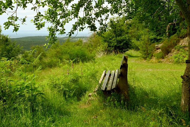 通过此策略 通过此策略