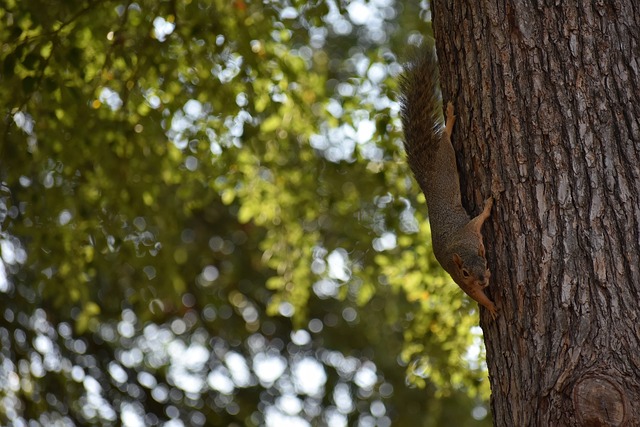 队边锋的快 队边锋的快